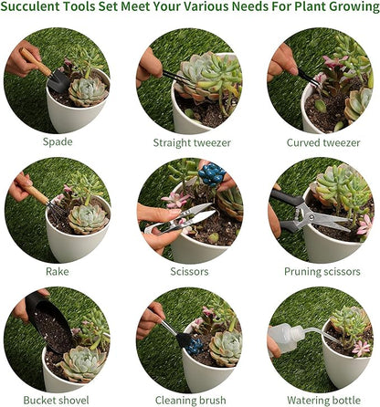 11Pcs Succulent Tools,Mini Garden Tools,Succulent Watering Tool as Plant Accessories,Succulent Gardending Hand Tools Kit for Seedling Soil,Caring Succulent,Houseplant,Gifts for Woman (No Flowerpot)