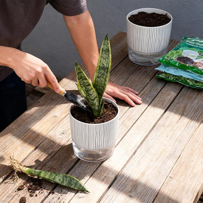 3 Pack Self Watering Pots Set, 4 Inch Self Watering Pots for Indoor Plants, Planter Pot with Wick Rope and Reservoir for African Violet, Spider Plant, Orchid