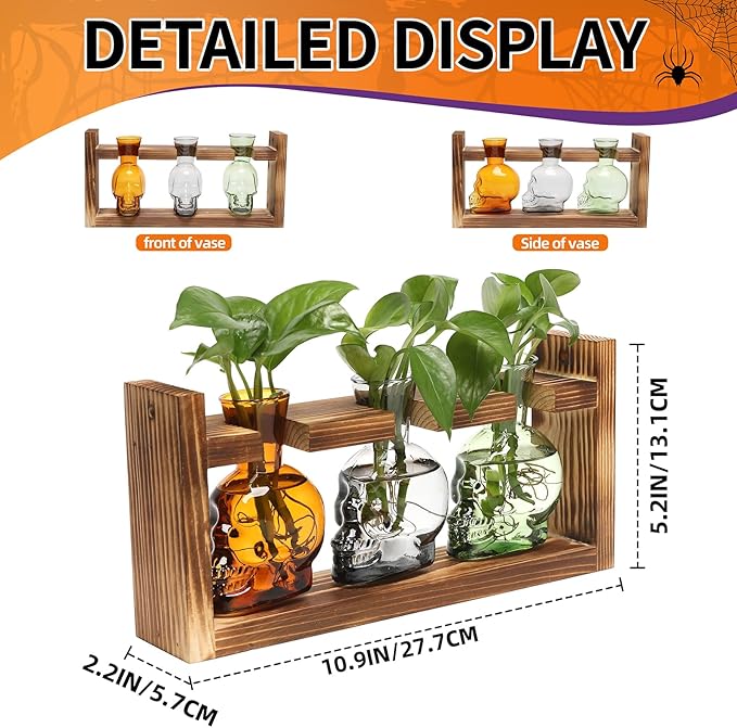 Terrarium Set with 3 Skull Glass Vases and Wood Stand