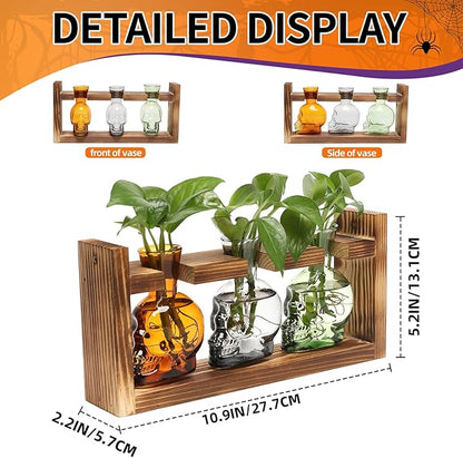 Terrarium Set with 3 Skull Glass Vases and Wood Stand