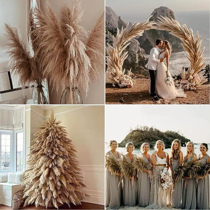 Dried Pampas Grass Stems, 9 Pack, 46-48 Inch Brown Plumes
