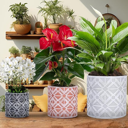 Plant Pots, Set of Indoor Plant pots, Plastic Planter with Drainage and Saucer, Modern Distinctive Self Watering Plant Pot, Spray Spots (Indoor Plant Pots)