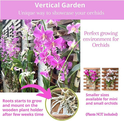 ShopLaLa Wall Planter - 2 Pack Wooden Hanging Planter for Indoor Plants Wall Mount Plant Stand Ladder Outdoor Vertical Garden Unique Live Orchid Planter Holder Display Large Wall Decor 23.6" (60cm)