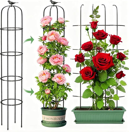 6.2ft Garden Obelisk Trellis for Climbing Plants Rustproof Metal Pipe with Heavy Duty Plastic Coated Garden Outdoor Indoor Potted Plant Support for Clematis Vine Jasmine Support