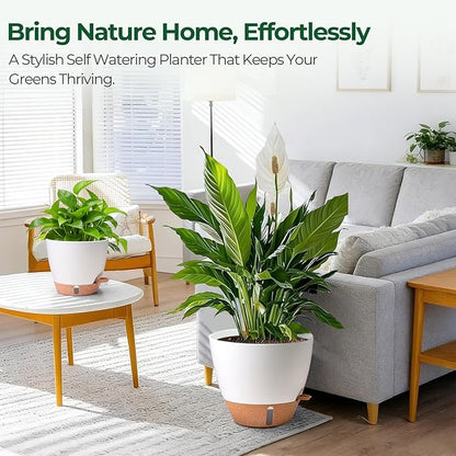 T4U 3 Pack Self Watering Pots (8"+10"+12") - Water Level Indicator & Deep Reservoir, Mess-Free Planters for Busy People, Beginners & Gardeners, Fits Pothos to Monstera, Indoor Outdoor Use (White)