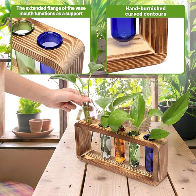 Terrarium Propagation Station with 5 Borosilicate Glass Test Tubes