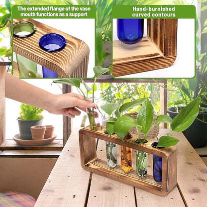 Terrarium Propagation Station with 5 Borosilicate Glass Test Tubes