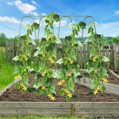 Lalahoni Cucumber Trellis, 65" X 65" Metal Garden Arch Trellis Climbing Plant Outdoor Support for Vine Fruits Flowers Vegetables Peas Beans Squash Cucumber Tomato Raised Bed, with Netting, Lightweight