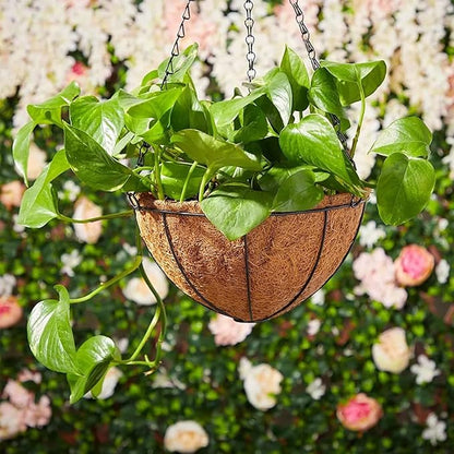 Hanging Baskets Planter for Plants - 4 Pack 10 Inch Metal Baskets with Coco Coir Liner, Hanging Flower Pots for Outside with Chain, Indoor Outdoor Garden Porch Decoration (10'' Pack of 4)
