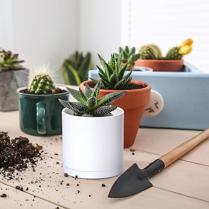 Planters 18-Pack Matte White Plastic Mini Pots with Saucers, 2.5 Inch