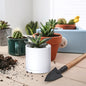Planters 18-Pack Matte White Plastic Mini Pots with Saucers, 2.5 Inch