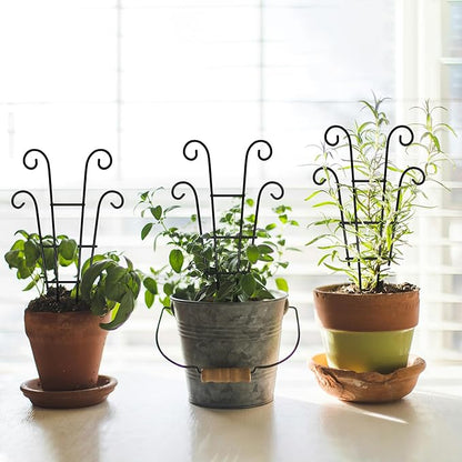 Coomin Small Plant Trellis for Climbing Plants Indoor, 14.5in Metal House Plant Trellis for Potted Plants, Mini Plant Support for Hoya Pothos, Black