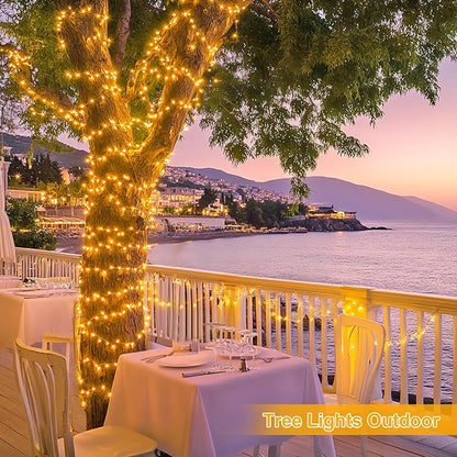 String Lights, 1000 Warm White LEDs, 272 Ft with Remote and 8 Modes