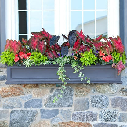 Mayne Fairfield 5-Foot Window Box – Self-Watering, Weather-Resistant Planter for Flowers – Durable Design for Outdoor Use, Perfect for Windows