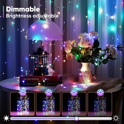 Indoor String Lights 65.6 Ft Battery Powered LED with Remote Control