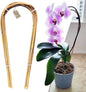 Avalution 16" Natural Bamboo Plants Trellis U-Hoop,Bamboo Gaeden Trellis U-Shape for Climbing Plant Support-10PCS
