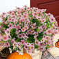 Artificial Flowers for Outdoor, UV Resistant Fake Silk Flowers, Realistic Faux Plants for Outside Indoor Porch Patio Window Box Planter Home Decor (20, Pink)