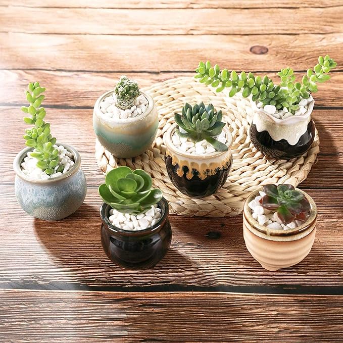 Ceramic Succulent Pots, 12-Pack Mini Planters with Flowing Glaze
