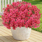 Artificial Flowers for Outdoor,Silk Flowers No Fade Fake Plastic Flowers UV Resistant Faux Plants for Outdoors Outside Front Porch Hanging Planter Window Box Garden Home Decoration,13 Pack(Rose)