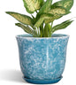 Ceramic Pots for Plants - 5.6 Inch Plant Pot with Drainage Hole and Saucer, Round Succulent Flower Orchid Pot for Indoor Outdoor, Modern Planter, Home Room Decor, Gift for Plant Lover, Blue