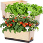 Window Box Planter 8 Pcs, 17 Inches Rectangle Flower Pots with Drainage Holes & Trays, Vegetable Planters for Windowsill Patio Garden Balcony Home Indoor Outdoor (Barley Yellow, 16 * 7 * 6 inch)