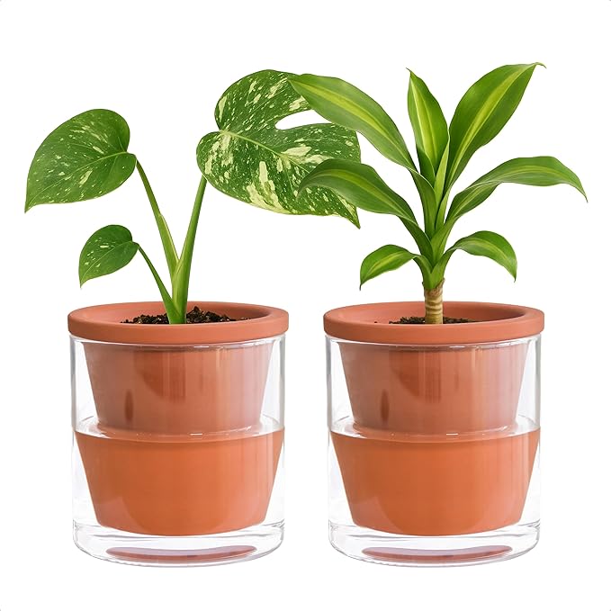 D'vine Dev 4 Inch Design Self Watering Pot for Indoor Plants, Terracotta Planter with Cylinder Glass Cup, Set of 2, 37-Y-A-1