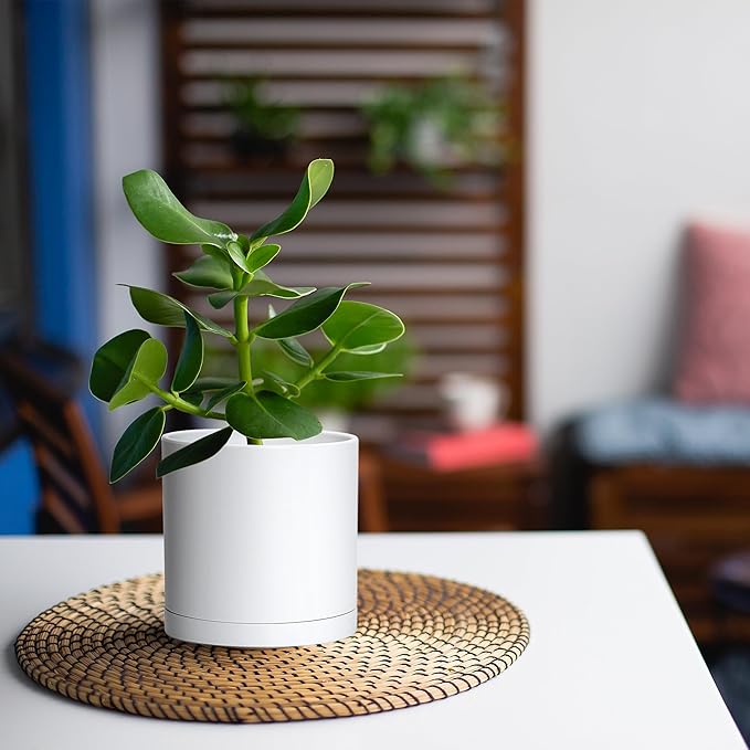 Planter Pots Set of 4, 5 Inch White Matte Plastic with Saucers