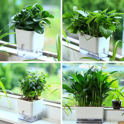 Planterhoma Self Watering Plant Pots for Indoor Plants 7 inch, 8 Packs Rectangular Self-Watering Planters with Drainage Hole, White African Violet Pots for Devil's Ivy, Spider Plant, Orchid, Herb