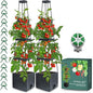 2 Pack Raised Garden Bed Planter Box with Trellis, 58” Tomato Cage Planter Raised Garden Bed with Trellis for Climbing Vegetables Plants Tomato Cage w/Self-Watering, Indoor Outdoor Use