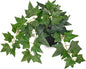 17.7" Artificial Plants Indoor Home Decor, Fake Potted Silk Plants for Shelves, Desks, Living Room, Home & Office Decor, Small Artificial Ivy Vine Plant in Pot, Faux Greenery Tropical Plant, Green