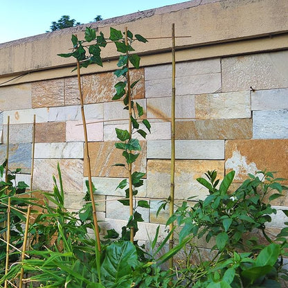 10 Pack 3ft Bamboo Trellis for Climbing Plants - Fan-Shaped Support Trellis for Potted Plant Decor in Door