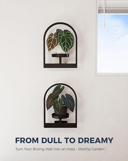 Bamworld Plant Stand Indoor, Plant Hanger Wall Planters for Indoor Plants Window Plant Shelves Plant Holder Wall Decor, Room Decor, Round (Patent Design)