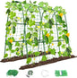 Cucumber Trellis for Raised Bed, U-Shape Garden Trellis for Climbing Plants Outdoor, Metal Arch Trellis for Vegetables, Plant Support for Tomato, Pea, Zucchini (47.2" L×30" W×47.2" H-Medium)