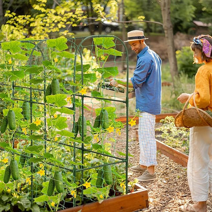 Cucumber Trellis for Raised Bed 51 x 50 Inch U-Shape Garden Trellis for Climbing Plants Outdoors Metal Garden Cucumbers Arch Trellis, Cucumber Plant Support for Tomato, Pea, Zucchini, Vine Flower