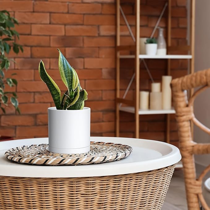 Planter Pots, Set of 2 Matte White Plastic with 6-Inch Modern Design