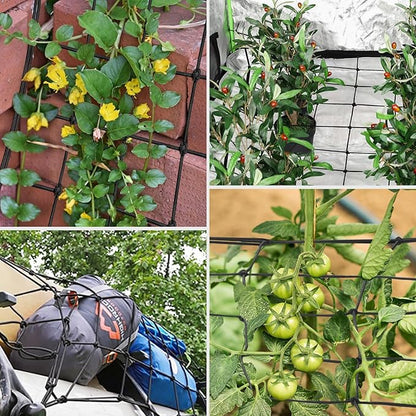 VIVOSUN 2 x 4Ft. Elastic Trellis Netting with 4 Hooks for Climbing Plants, Vegetables, Fruits, and Flowers, 1-Pack