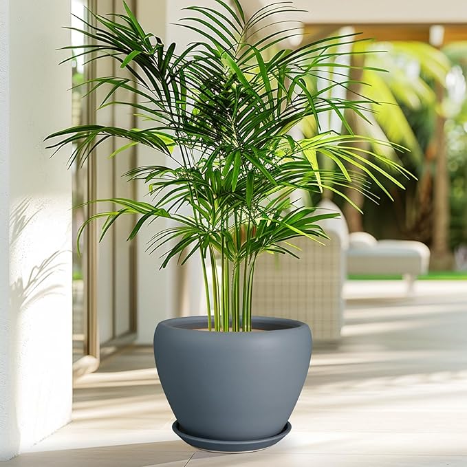 Ceramic Pot for Plants - 8 Inch Plant Pot Indoor with Drainage Hole and Saucer Decorative Planter for Outdoor Plants Modern Flower Pot for Home Decor Garden Gray