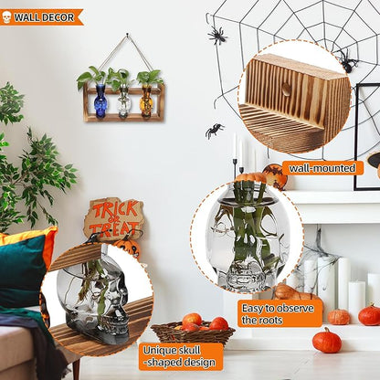 Terrarium Propagation Station Set, Skull Glass Vases with Wood Stand, 3 Pieces