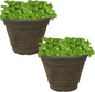 Sunnydaze 20-Inch Franklin Large Plant Pot - Polyresin Round Outdoor Planter with Drillable Drainage Hole - 2 Pack - Sable