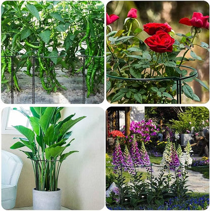 TCBWFY 10 Pack Plant Support Stakes for Peony,10"Widex24"High Heavy Duty 4.5mm Peony Cages and Support,Metal Peony Supports for Outdoor Indoor Plants,Plant Supports for Peony