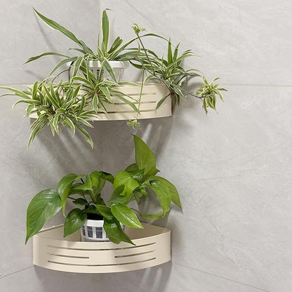 Set of 3 Plastic Window Planter with Suction Cup Holder. Large Window Popagation. Clear Self Watering Window Mounted Plant Pots. Window Sill Planters Extender for Indoor Hydroponic Plants