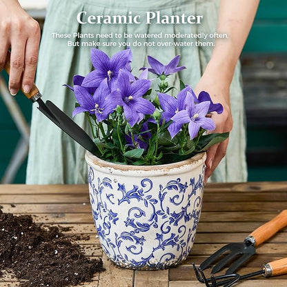 Vintage Ceramic Planter with Drainage Hole, Plastic Tray & Mesh, 6.5 Inch - Indoor/Outdoor Flower Pot, Blue Floral Rustic Farmhouse Design Plant pot for Home, Office & Garden Décor, Ideal Gift