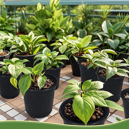 100Pcs 1 Gallon Black Nursery Pots, Soft Plastic Seedling Plant Pot with Holes, Garden Flower Seedling Pot for Indoor/Outdoor Use, Small to Medium Size