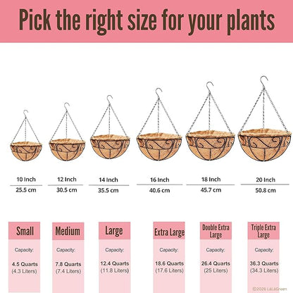 LaLaGreen Hanging Planter for Outdoor Plants (16 Inch, 6 Pack) Hanging Baskets with Coco Liner, Black Metal Wire Flower Basket Pots with Hook Hanger Balcony Porch Farmhouse Country Style Garden Decor
