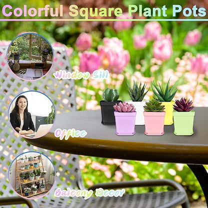 Anyumocz 70 PCS 3" Colorful Plastic Plant Pots,Plastic Square Nursery Pot,Seedling Nursery Pots with Saucers for Indoor Outdoor Plants,Garden,Flower,Home,Office,Balcony Decor