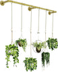 Plant Haning Rod, Hanging Planters for Indoor Plants with 6 Chains, Wall Plant Hanging Bar for Window Celling, 65.7 Inch, Metal Gold, Pots Not Included