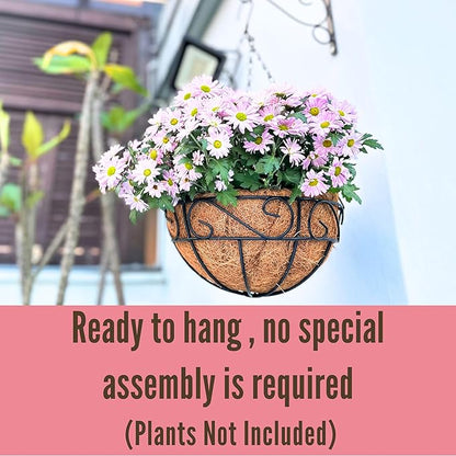 LaLaGreen Hanging Planter for Outdoor Plants (16 Inch, 2 Pack) Hanging Baskets with Coco Liner, Black Metal Wire Flower Basket Pots with Hook Hanger Balcony Porch Farmhouse Country Style Garden Decor