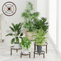 5 Pack Plant Stand Indoor Outdoor, Flower Pot Stand Plant Rack for Home Courtyard Gardens, Round Metal Corner Plant Stand for Flower Holder for Multiple Plants