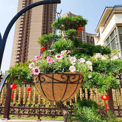 Outdoor Metal Hanging Planters Basket (4pack, 10 inch) Hanging Baskets for Plants Chain Round Wire Plant Holder with Coco Fiber Liners for Garden, Patio, Deck, Porch(Flower Border)