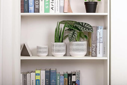 Docrin 3-Pack Ceramic Planters Set - 6.5"+5.3"+4" Dual-Tone Flower Pots with Drainage Holes, Modern Indoor Outdoor Planters for Succulents/Herbs/Large Plants, Home Office (Brownish Black & White)